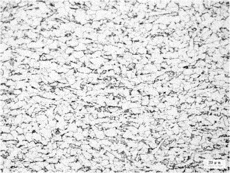 Method for producing hot rolled steel coil