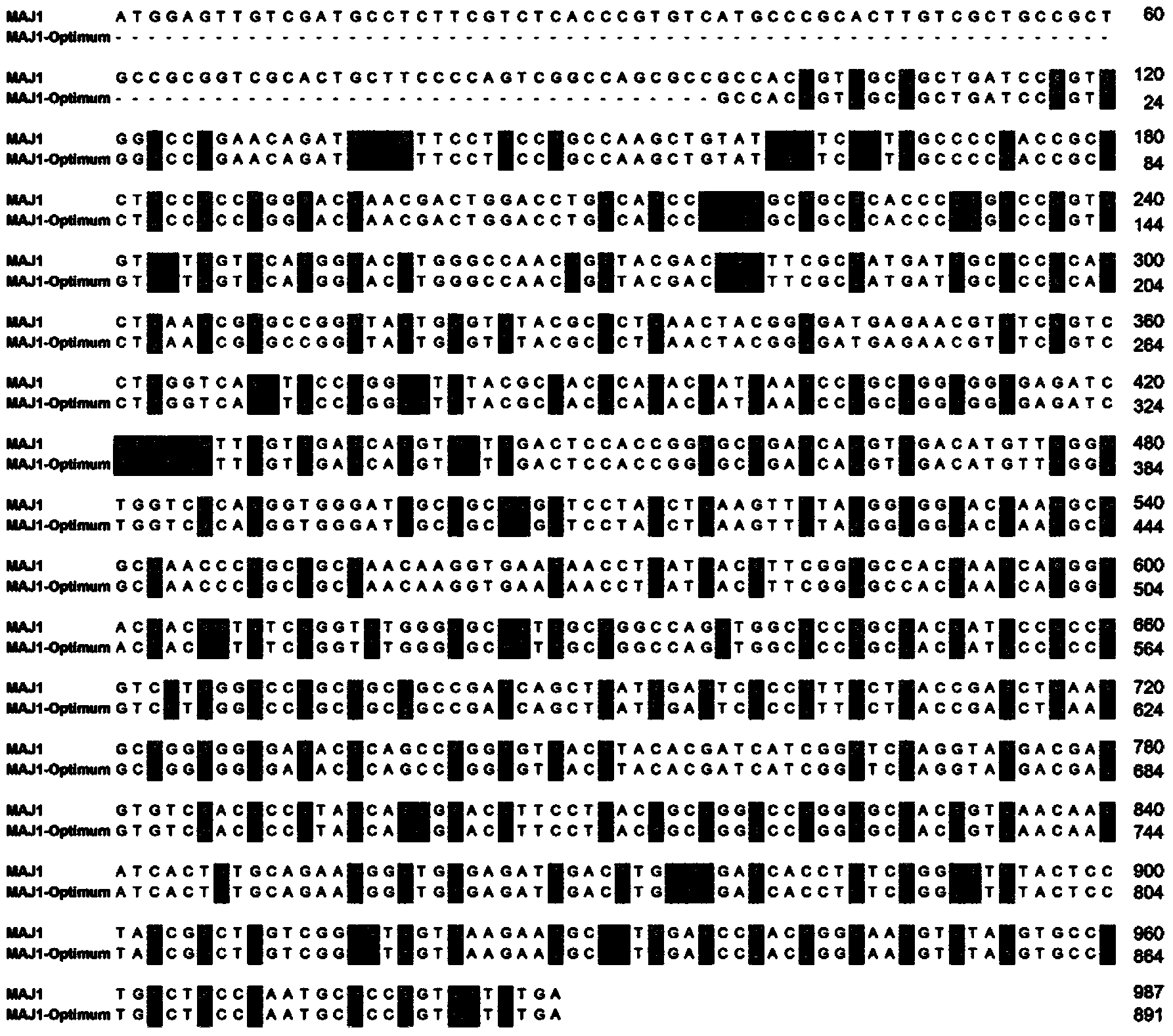 Low-temperature partial glyceride lipase of marine microorganism source and application thereof