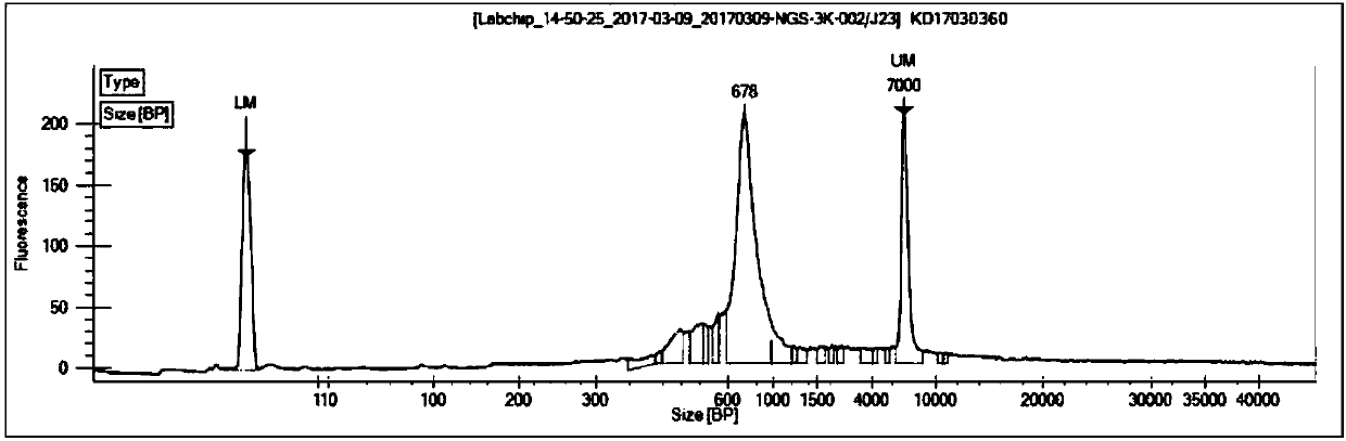 Construction method of T cell antigen receptor diversity sequencing library and kit