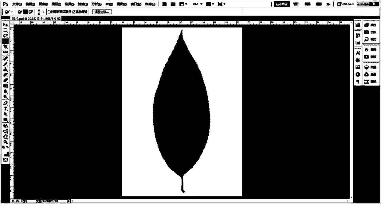 Method for determining plant leaf area based on Photoshop software