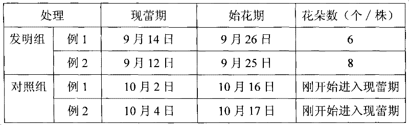 Method for adjusting and controlling flowering phase of impatiens balsamina