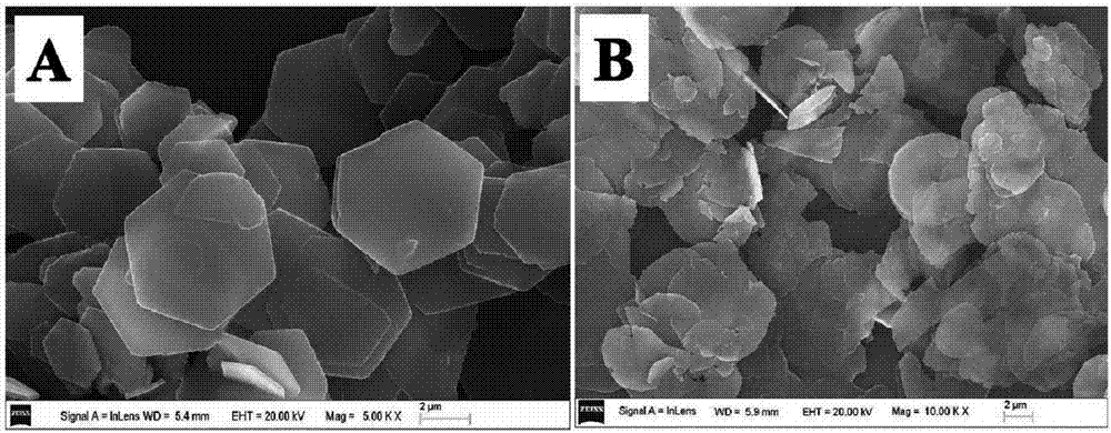 Construction of ultra-sensitive electrochemiluminescence sensor and application thereof to aspect of trinitrotoluene detection