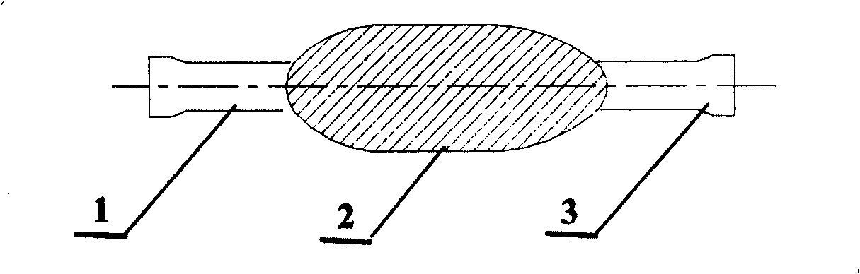 Dual resonance frequency driving method of magnetic mini travel robot