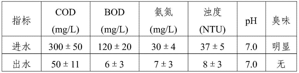 Porous adsorption medium for water treatment and preparation method of porous adsorption medium