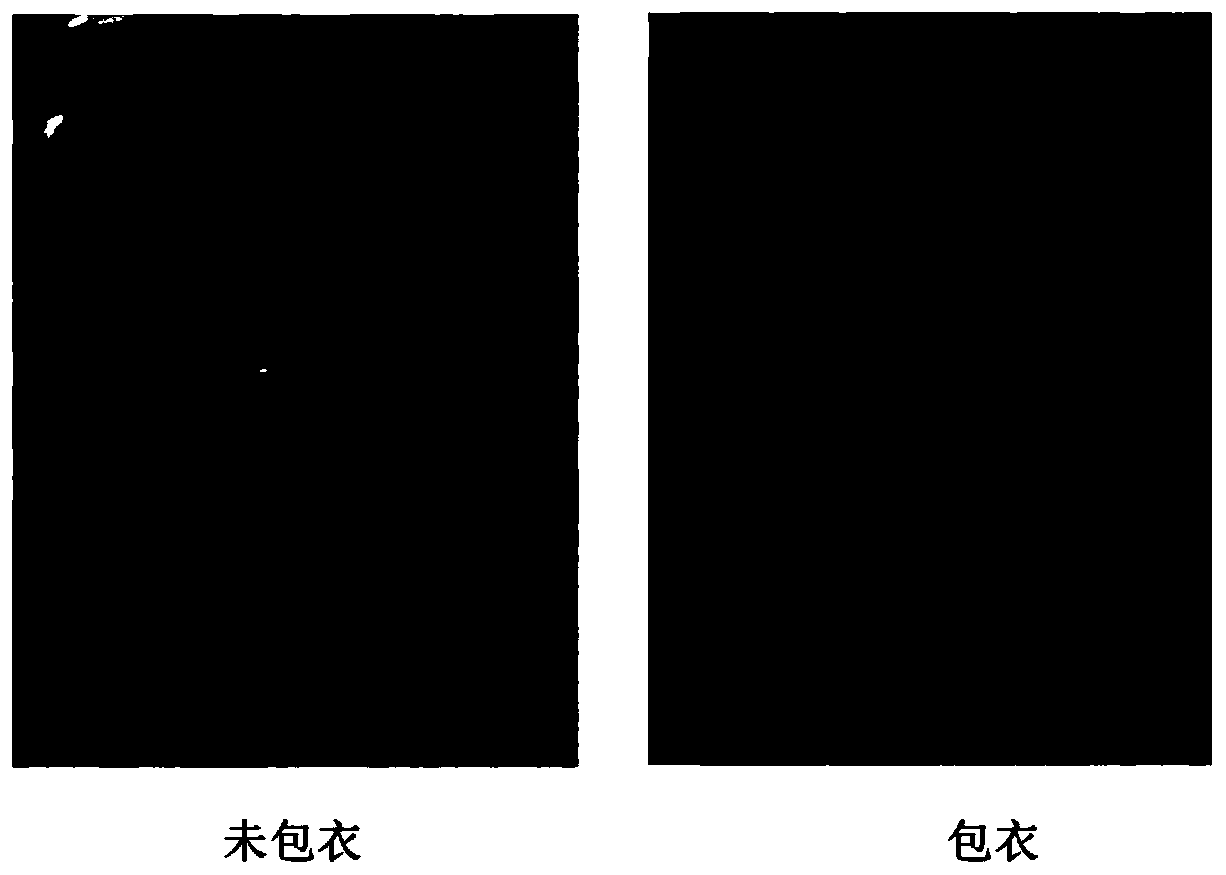 Pelletized coating and preparation method thereof