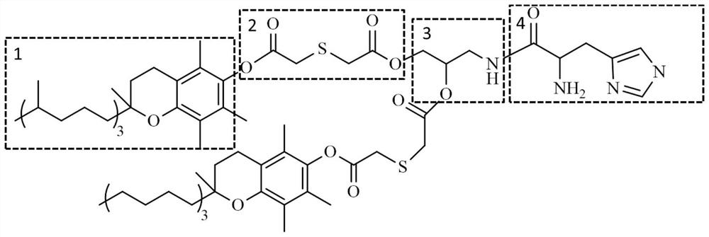 Cationic liposome with high gene transfection efficiency and preparation and application thereof