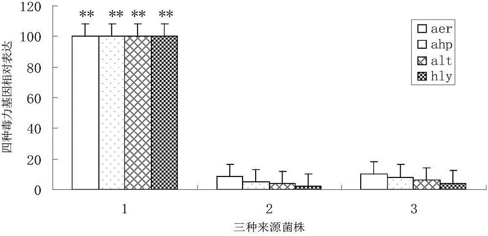 Aeromonas hydrophila and aeromonas veronii duplex oral sustained-release microsphere vaccine and preparation method thereof