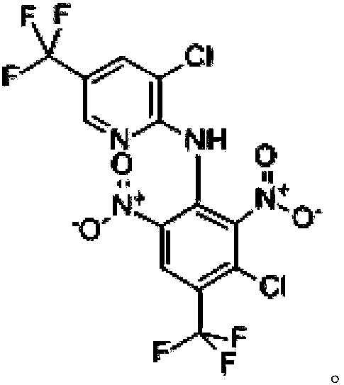 Acaricidal composition and application thereof