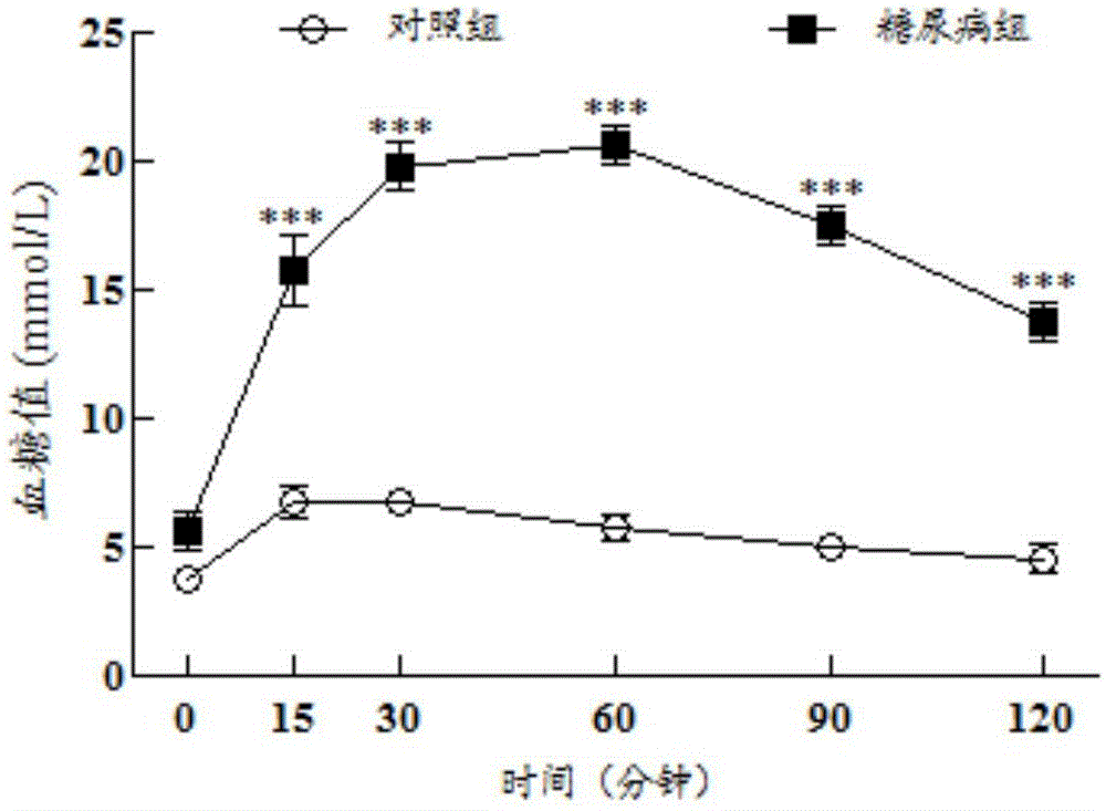 Application of externally used skin generation oil in preparation of drugs for preventing or treating diabetic peripheral circulation disturbance and foot ulcer