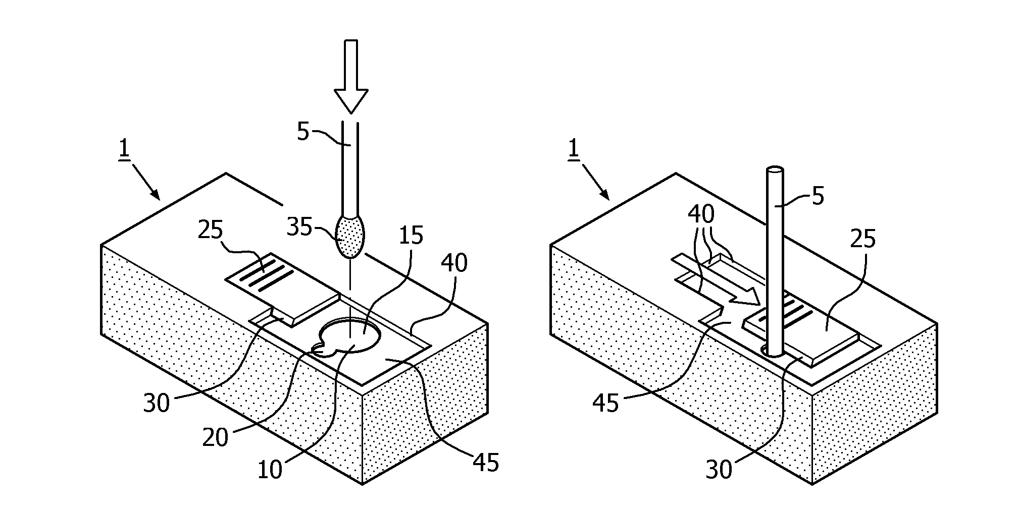 Treatment of a sample with focused acoustic energy