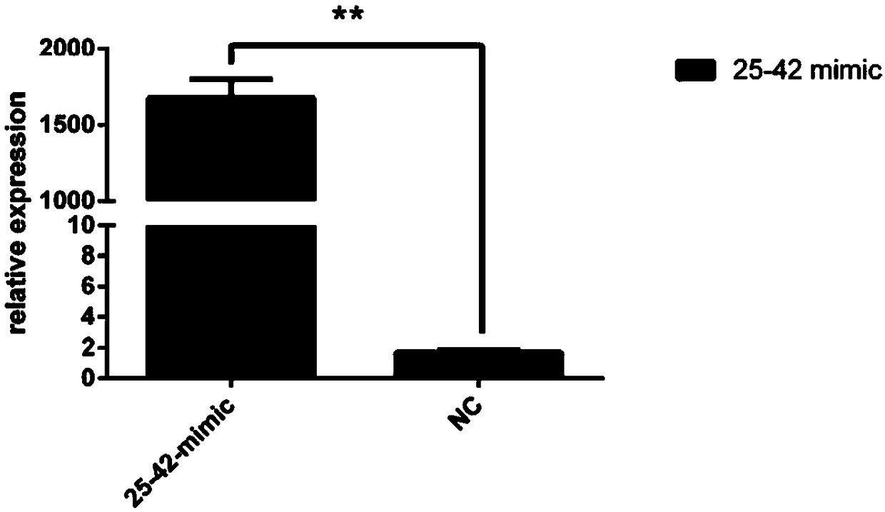 MiRNA apla-mir-25-42 related to follicular development of laying ducks and detection primers, inhibitors and application thereof