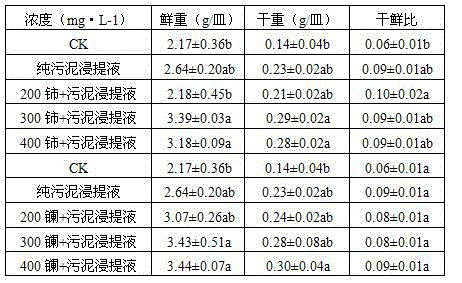 Method for regulating festuca arundinacea protective enzyme under water stress by using sludge and rare earth mixed seed soaking liquid