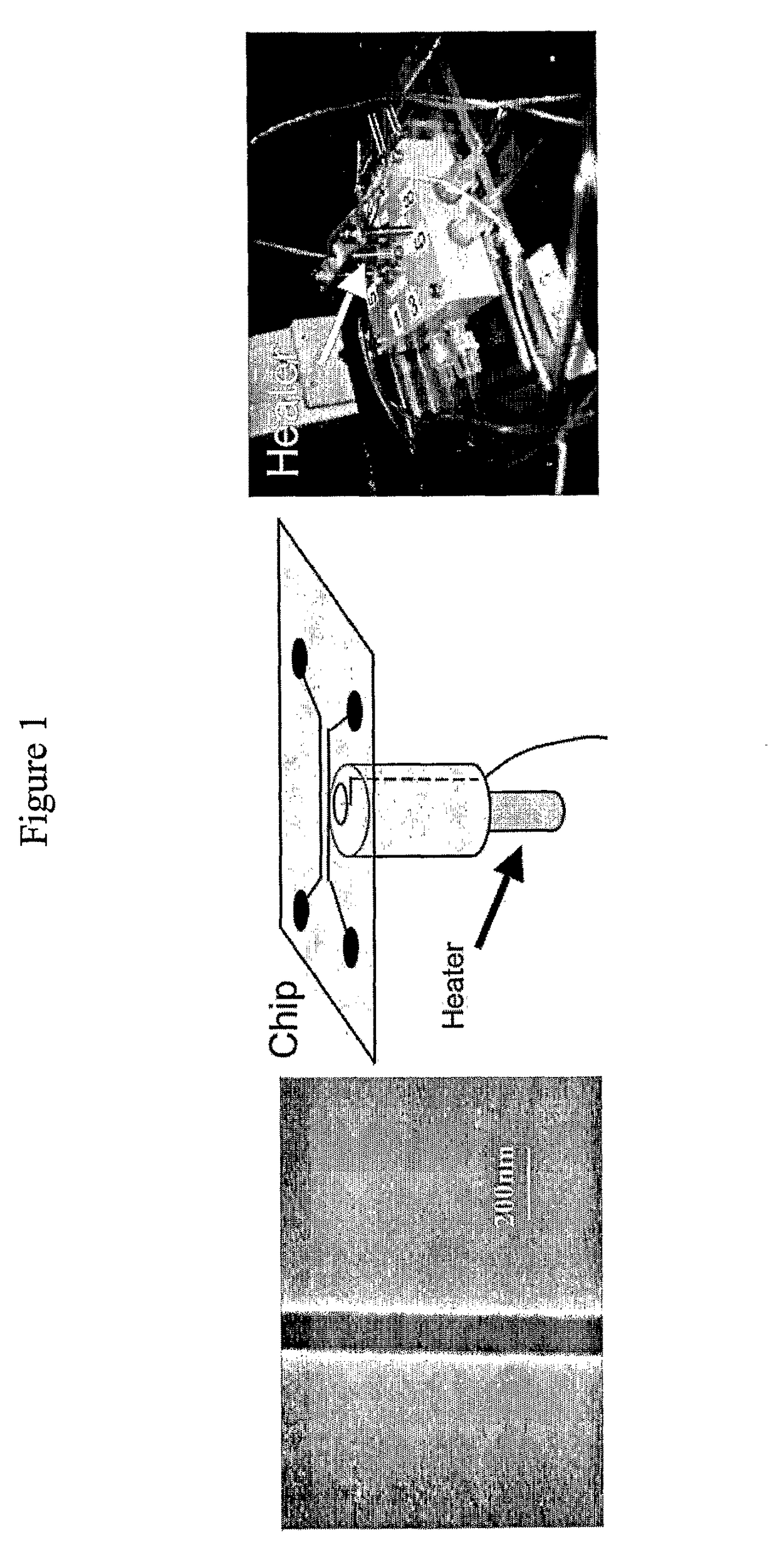 Method for the mapping of the local AT/GC ratio along DNA