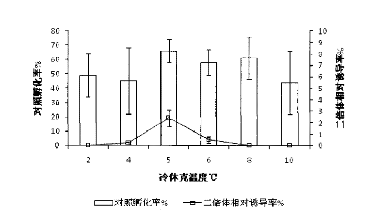 Induction and identification method of cynoglossus semilaevis gynogenesis diploid fish fry