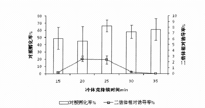 Induction and identification method of cynoglossus semilaevis gynogenesis diploid fish fry