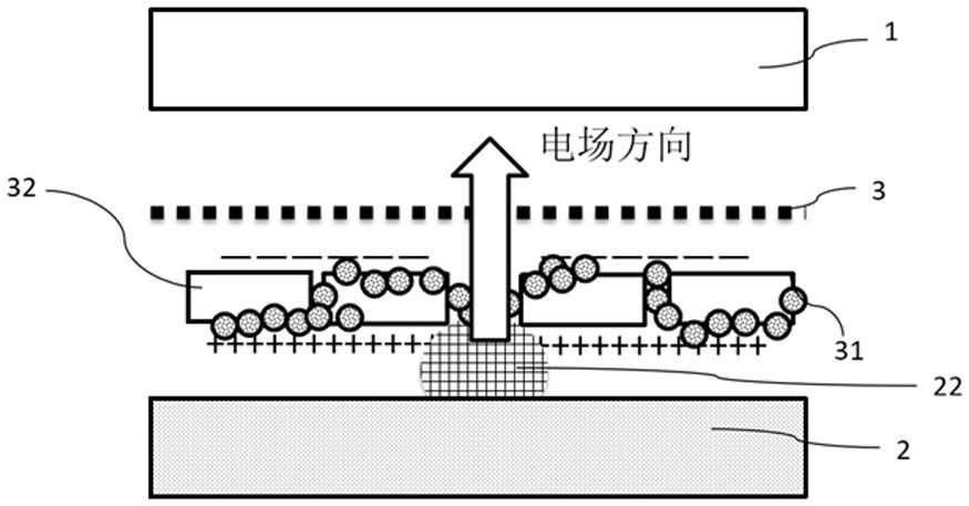 Separator for lithium metal battery and preparation method thereof