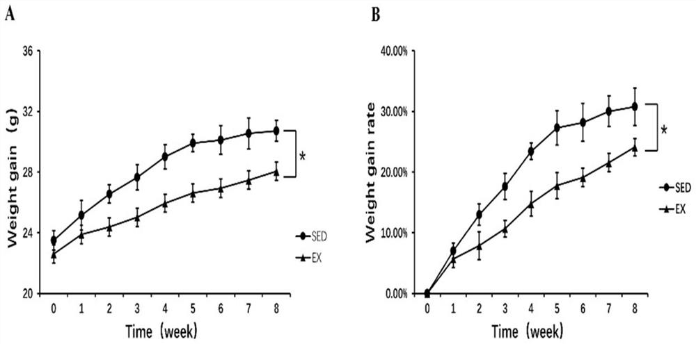 Establishment method of mouse motion model