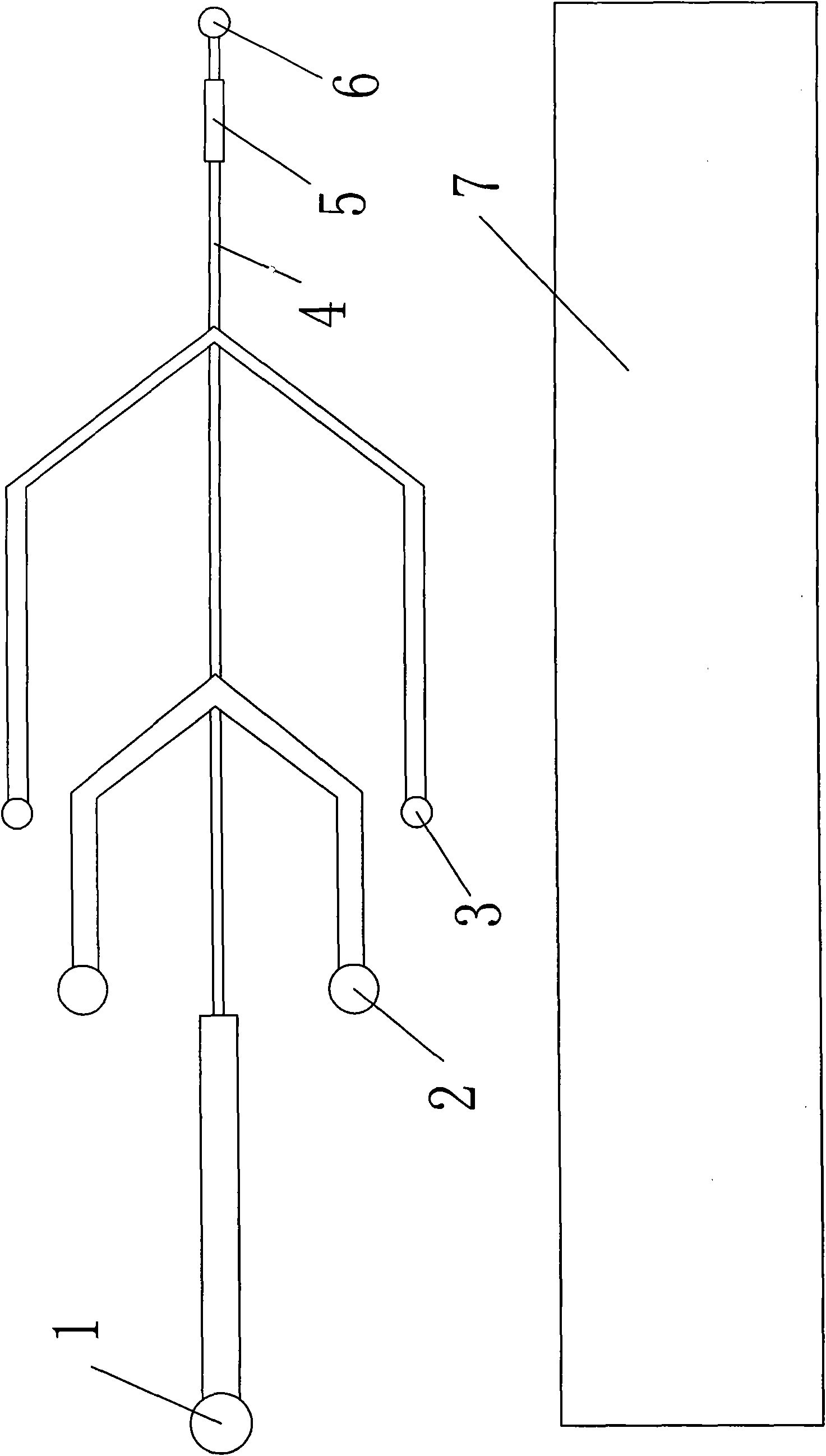 Composite chip for rapid prenatal diagnosis of PKU and method