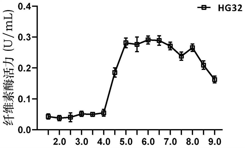 Novel multifunctional enzyme gene HG32 and application