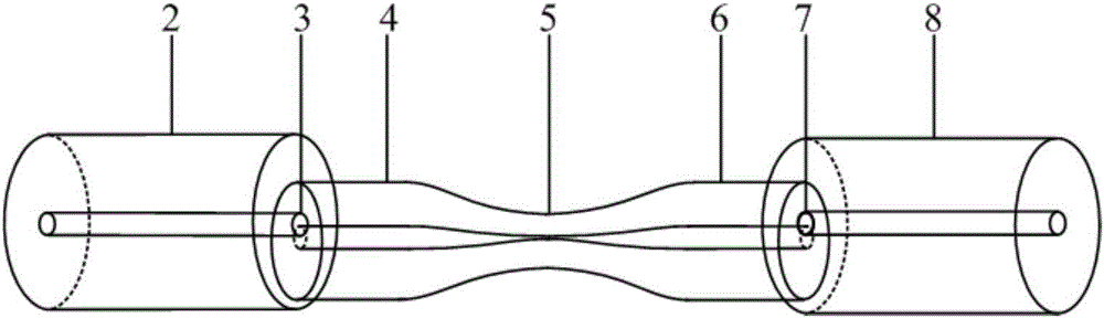 Fiber torsion sensor with high sensitivity and without temperature cross interference