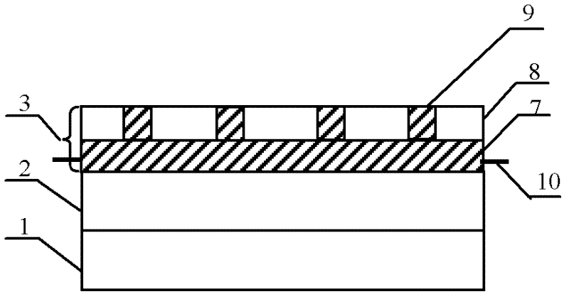 Magnetically-labeled biological sensor as well as production method and detection method thereof