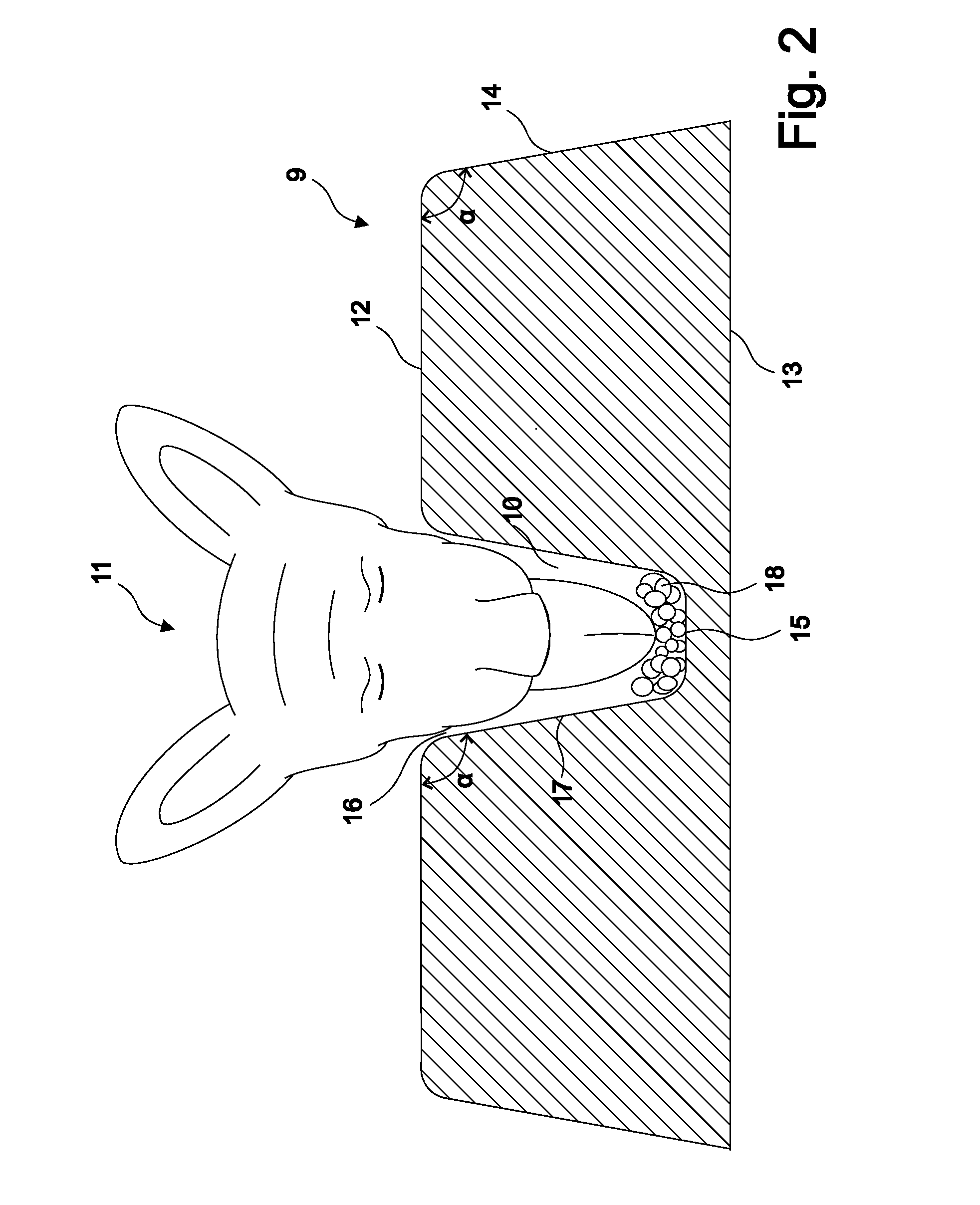 Tray for presenting food to a pet