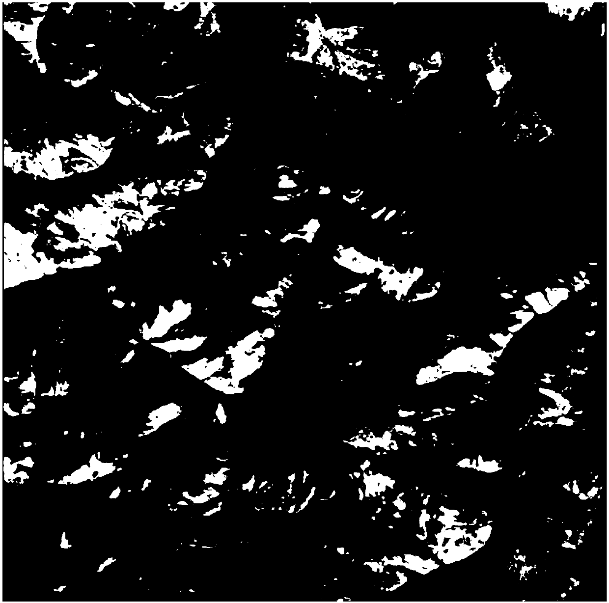 Improved SAR image and multi-spectral optical image fusion method