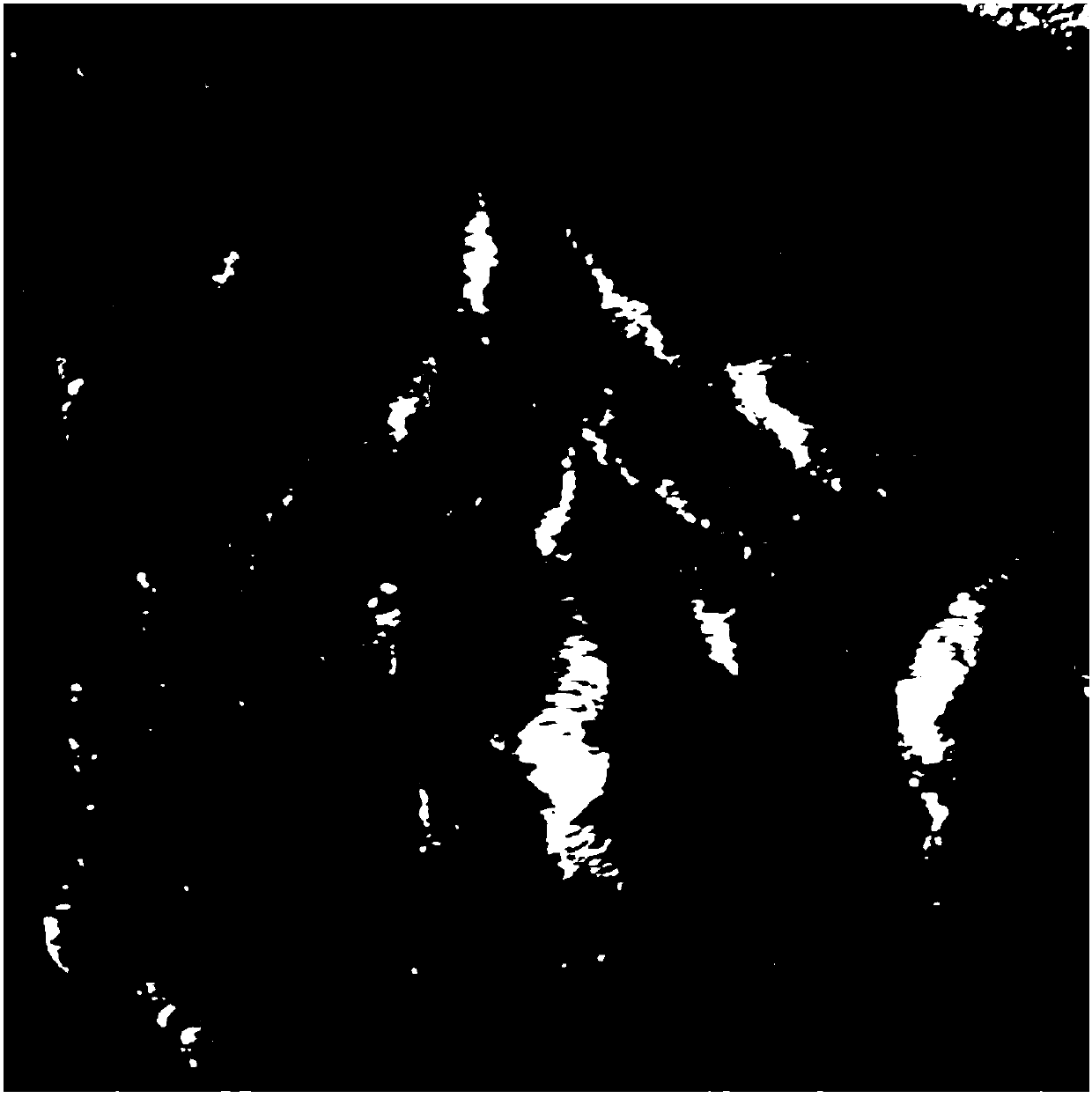 Improved SAR image and multi-spectral optical image fusion method