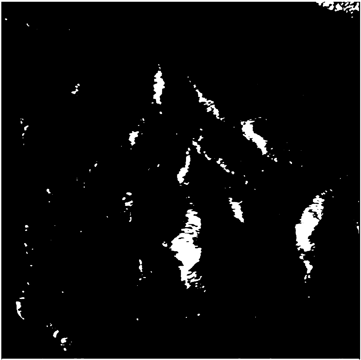 Improved SAR image and multi-spectral optical image fusion method