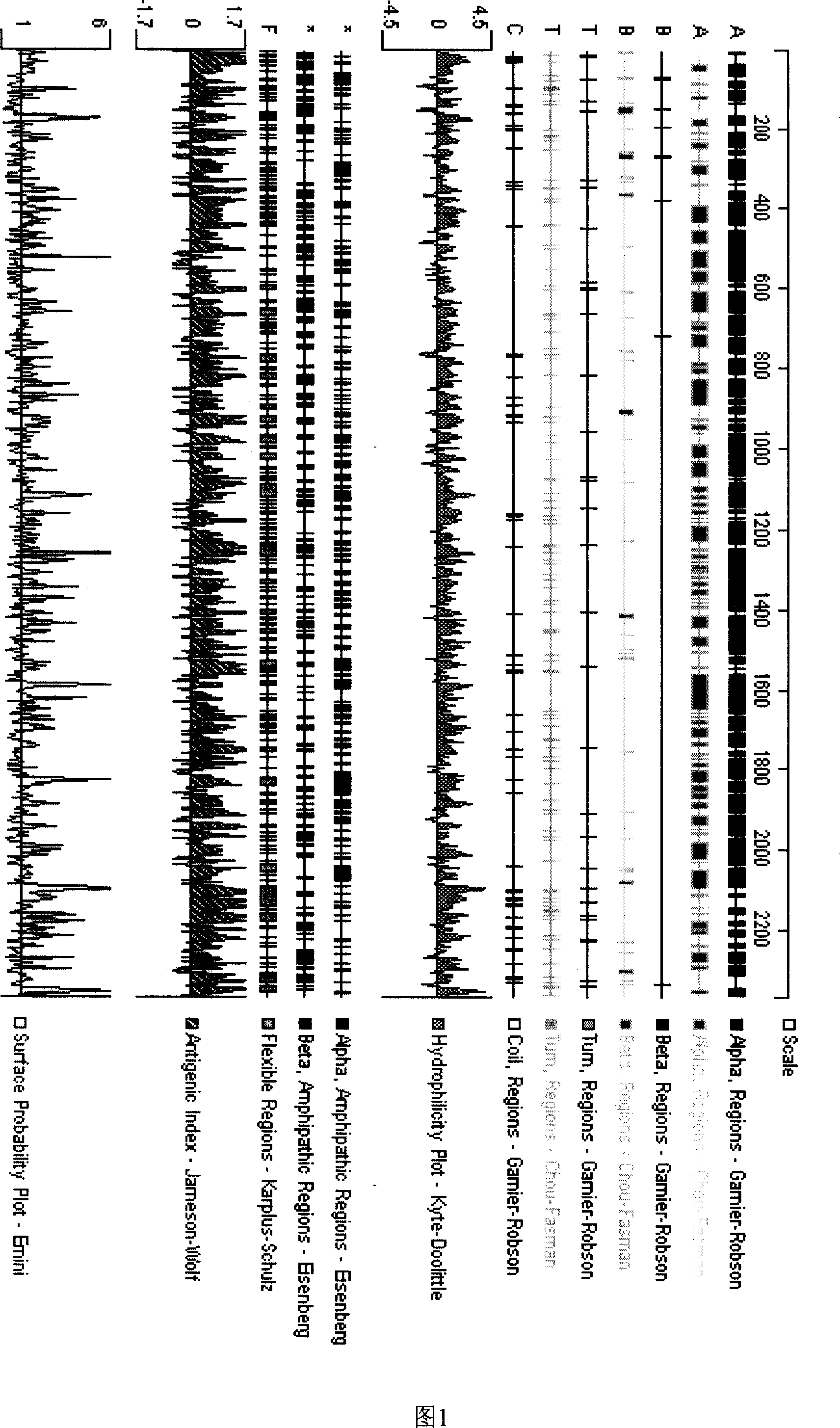 Beta-fodrin antigen epitope polypeptide, and its screening method and use