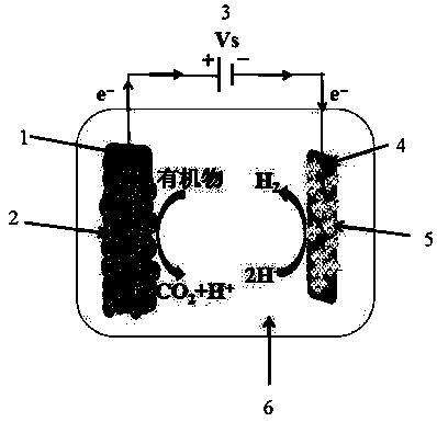 Preparation method and application of MoS2/transition metal/graphene composite hydrogen dissociation electrode in microbial electrolytic tank