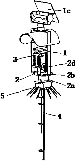 A camera device for plant phenology observation