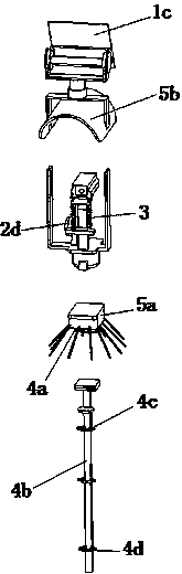 A camera device for plant phenology observation