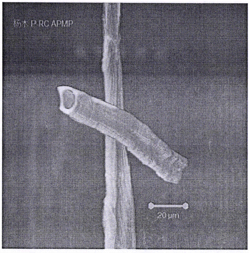 Method for evaluating interfiber bonded area of high-yield pulp by using confocal laser scanning microscope (CLSM)