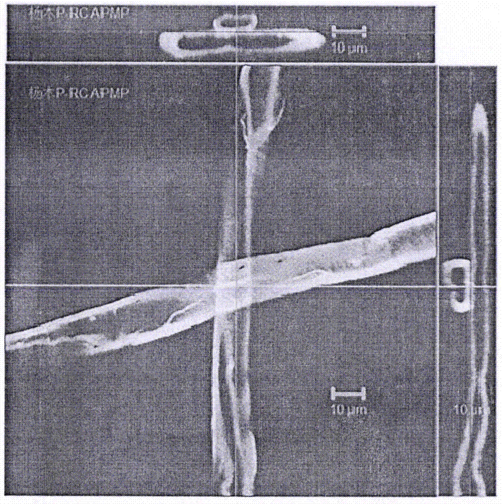 Method for evaluating interfiber bonded area of high-yield pulp by using confocal laser scanning microscope (CLSM)