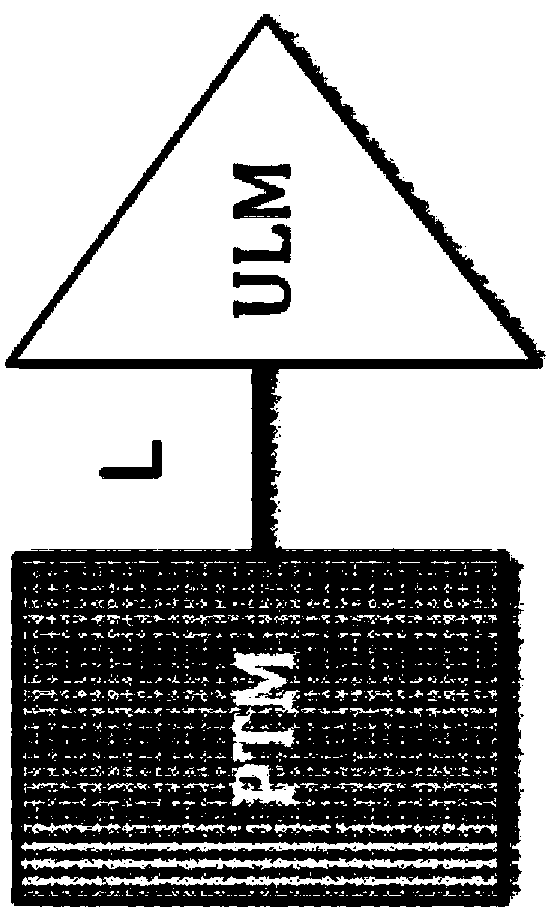 Cereblon ligands and bifunctional compounds comprising the same