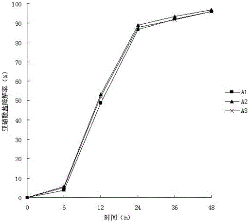 Lactic acid bacteria for efficiently degrading nitrite and application thereof in pickling salt