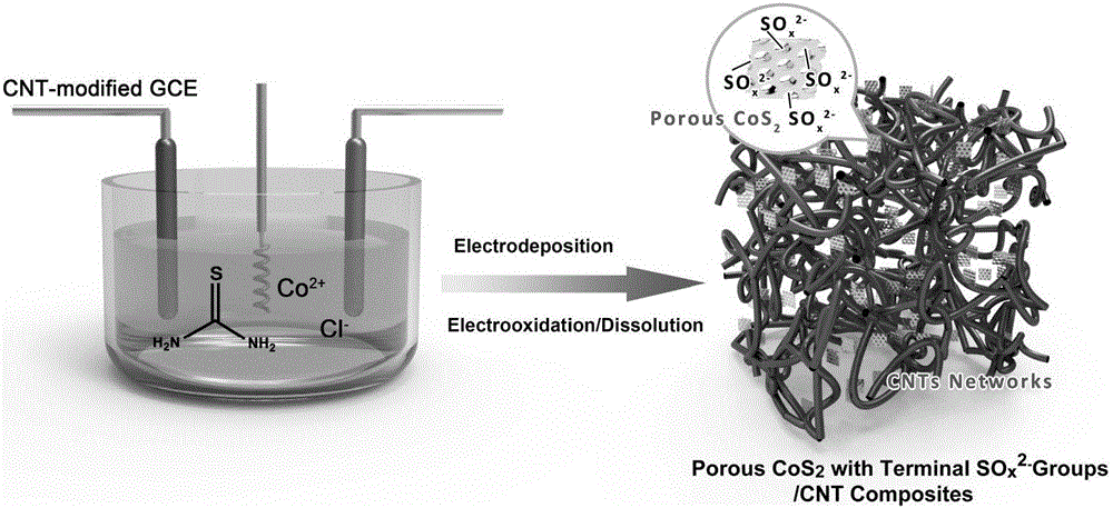 Transition metal sulfide/carbon nanotube composite material as well as preparation method and application thereof