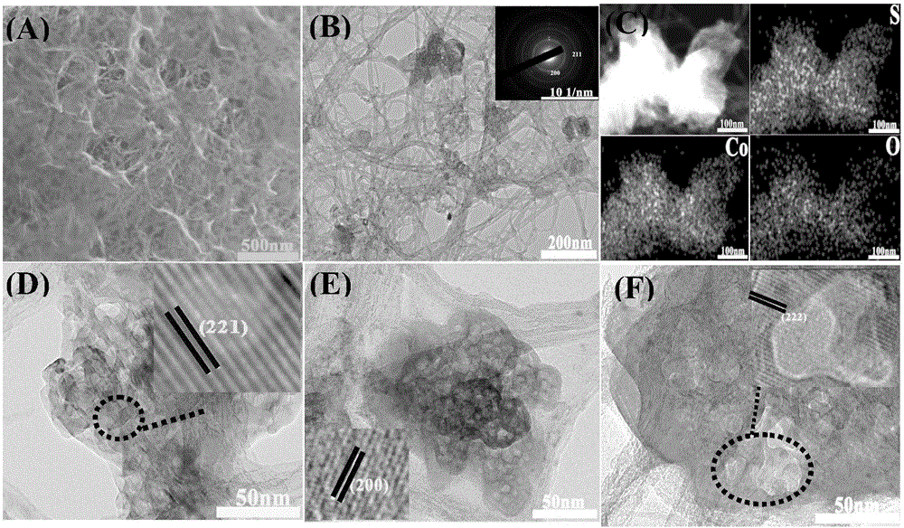 Transition metal sulfide/carbon nanotube composite material as well as preparation method and application thereof