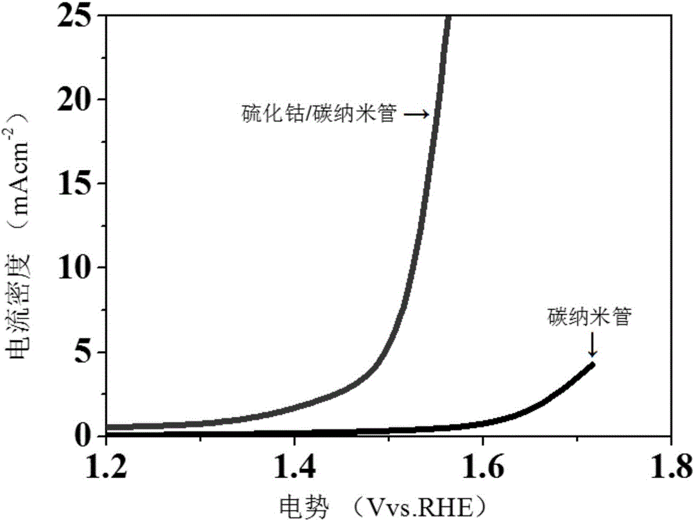 Transition metal sulfide/carbon nanotube composite material as well as preparation method and application thereof