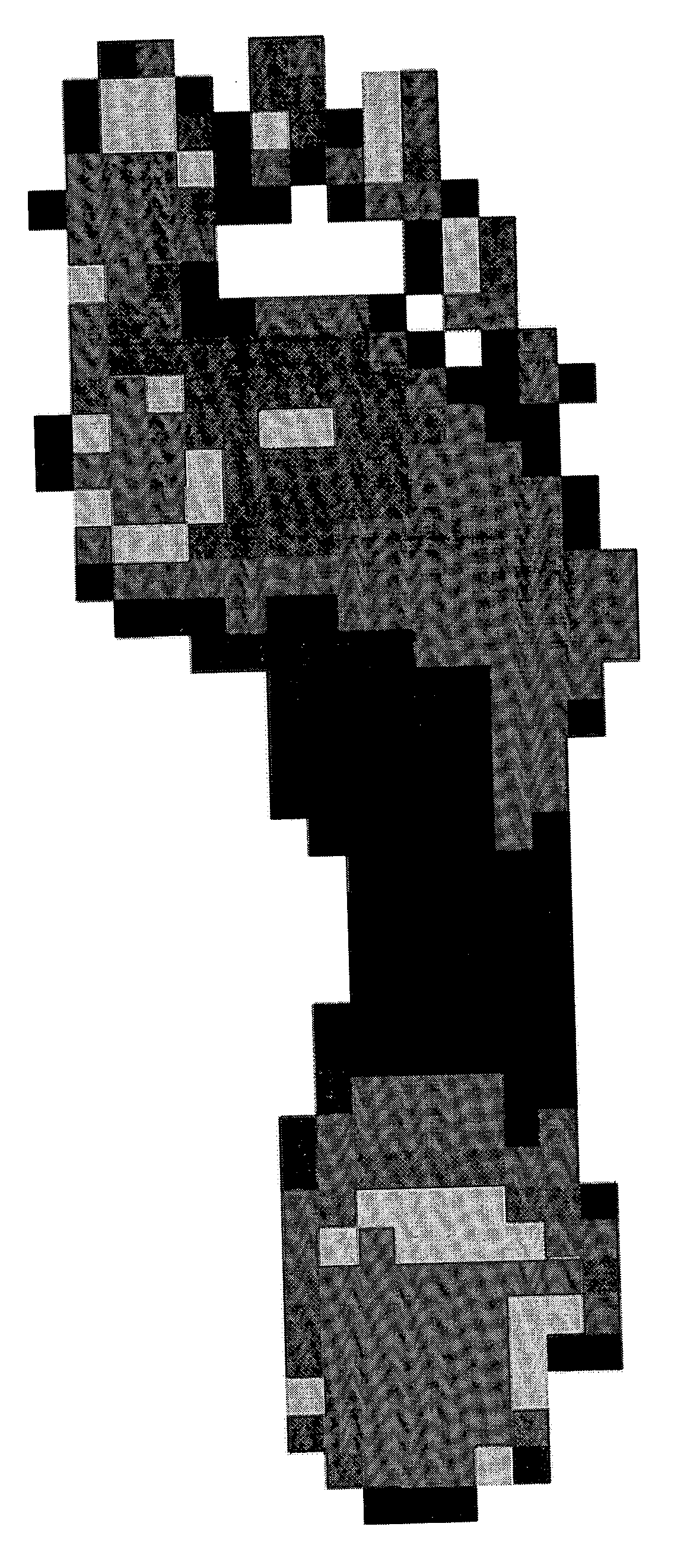 Identification device and application thereof