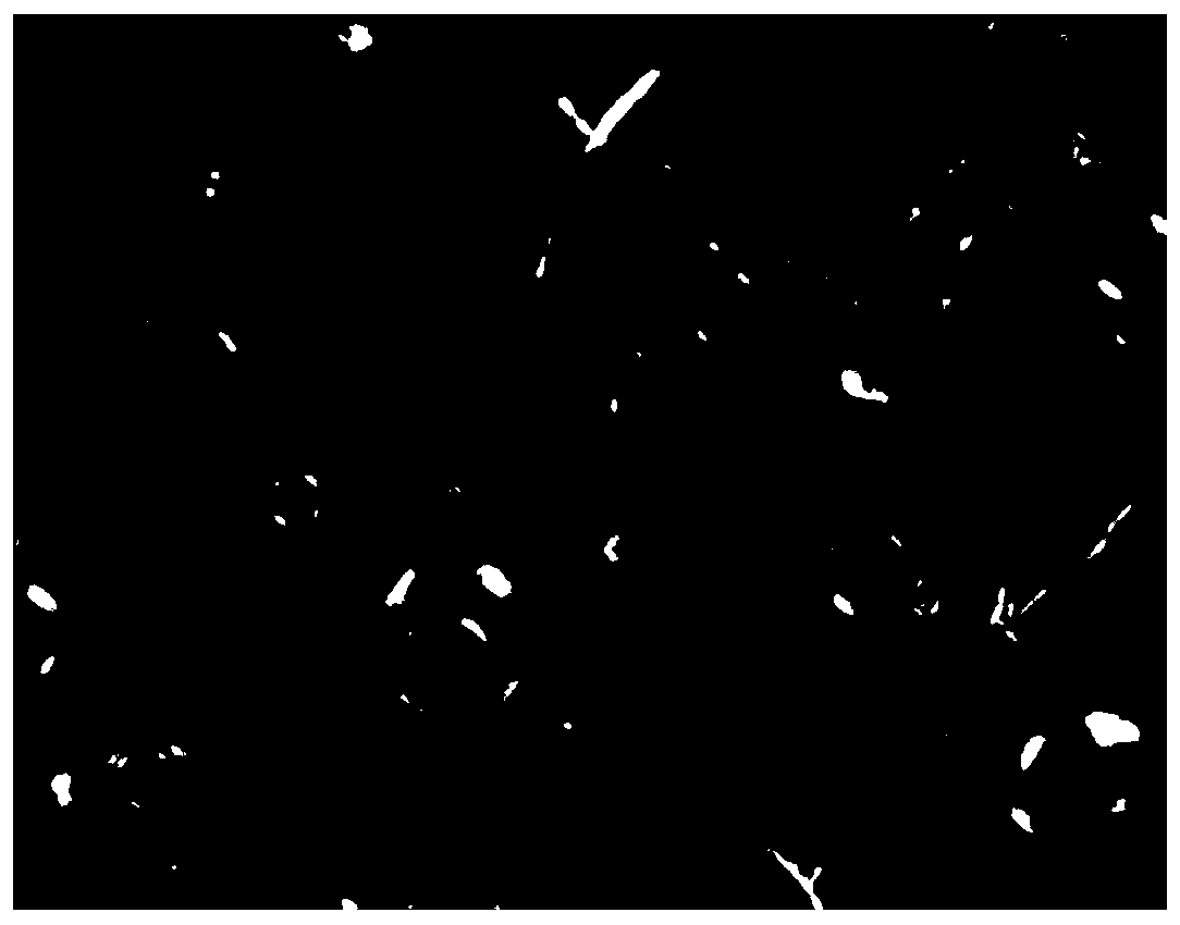 Drug-loaded polyvinyl alcohol microsphere