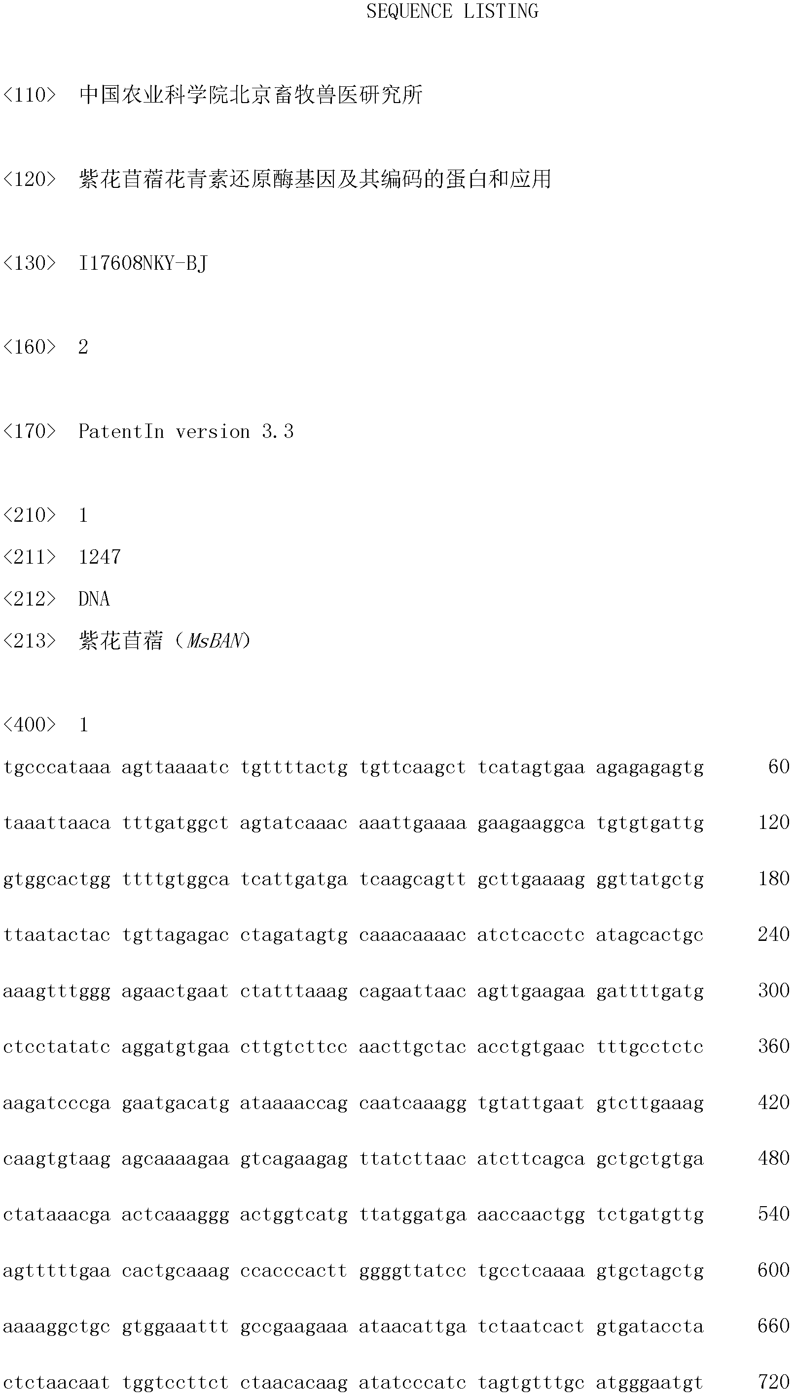 Medicago sativa L. anthocyanin reductase gene, protein coded by same and application