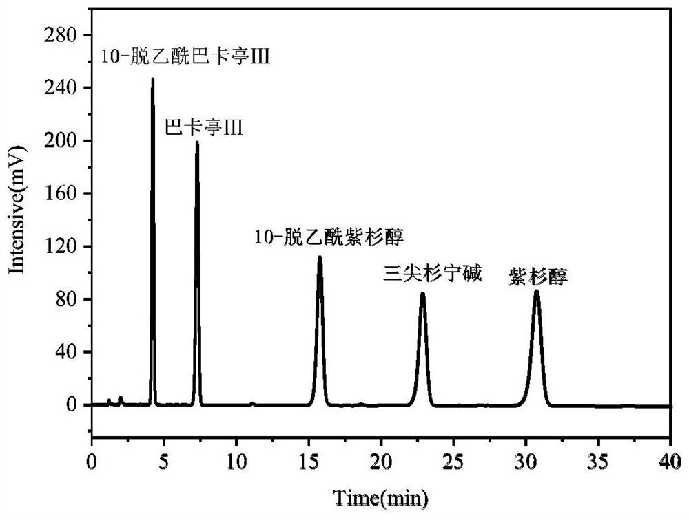 Method for separating paclitaxel by utilizing rosin-based bonded silica gel stationary phase