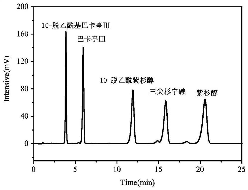 Method for separating paclitaxel by utilizing rosin-based bonded silica gel stationary phase