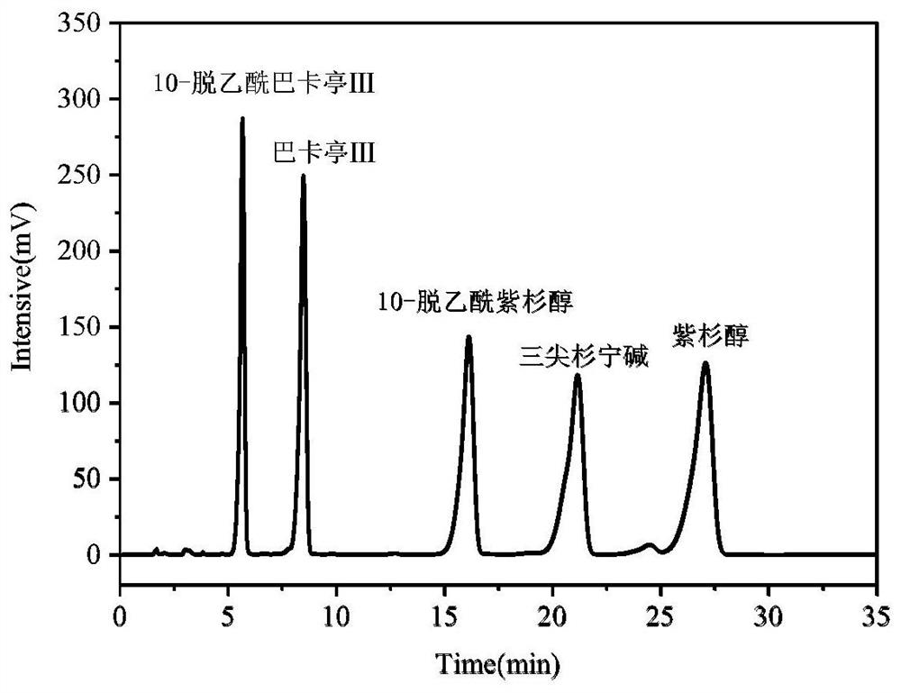 Method for separating paclitaxel by utilizing rosin-based bonded silica gel stationary phase