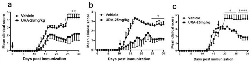 Application of ellagic acid and metabolic derivative urolithin compound thereof in preparation of immunoregulation medicine