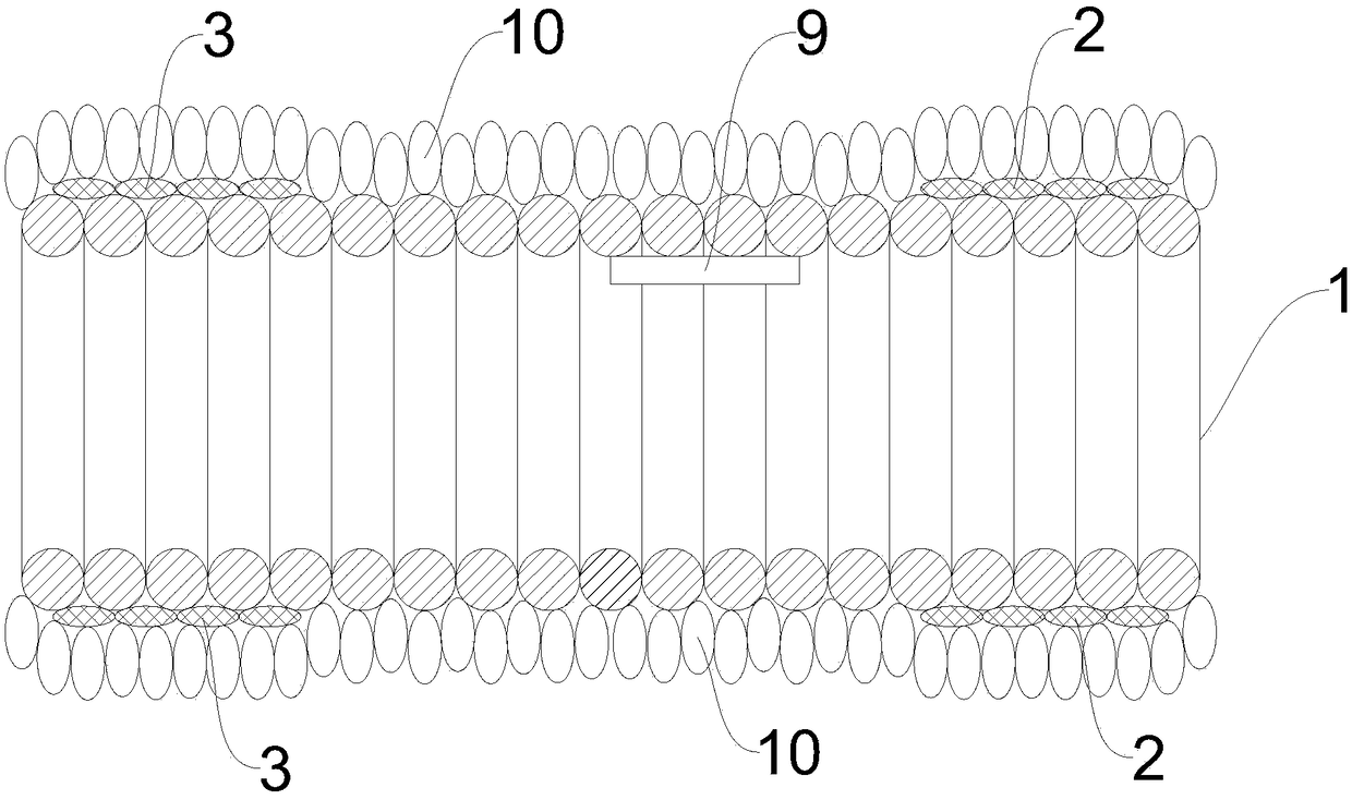 Device for magnetic induction hyperthermia of animals