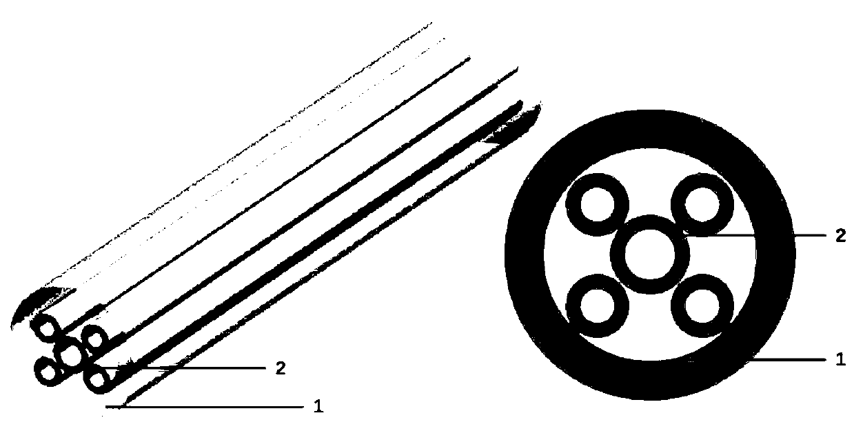 Single crystal optical fiber and preparation method thereof