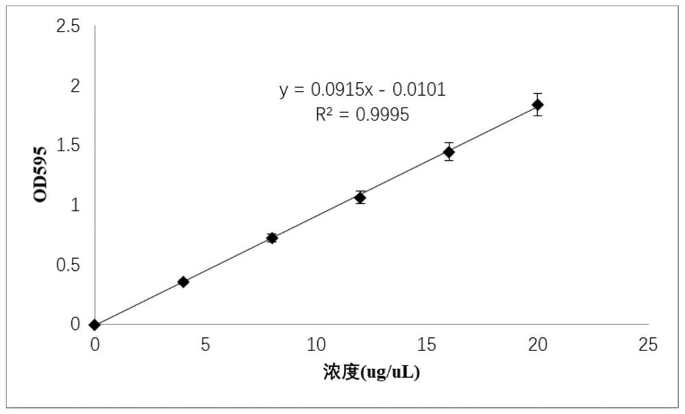 Composition, screening model and screening method for screening anti-tuberculosis drugs